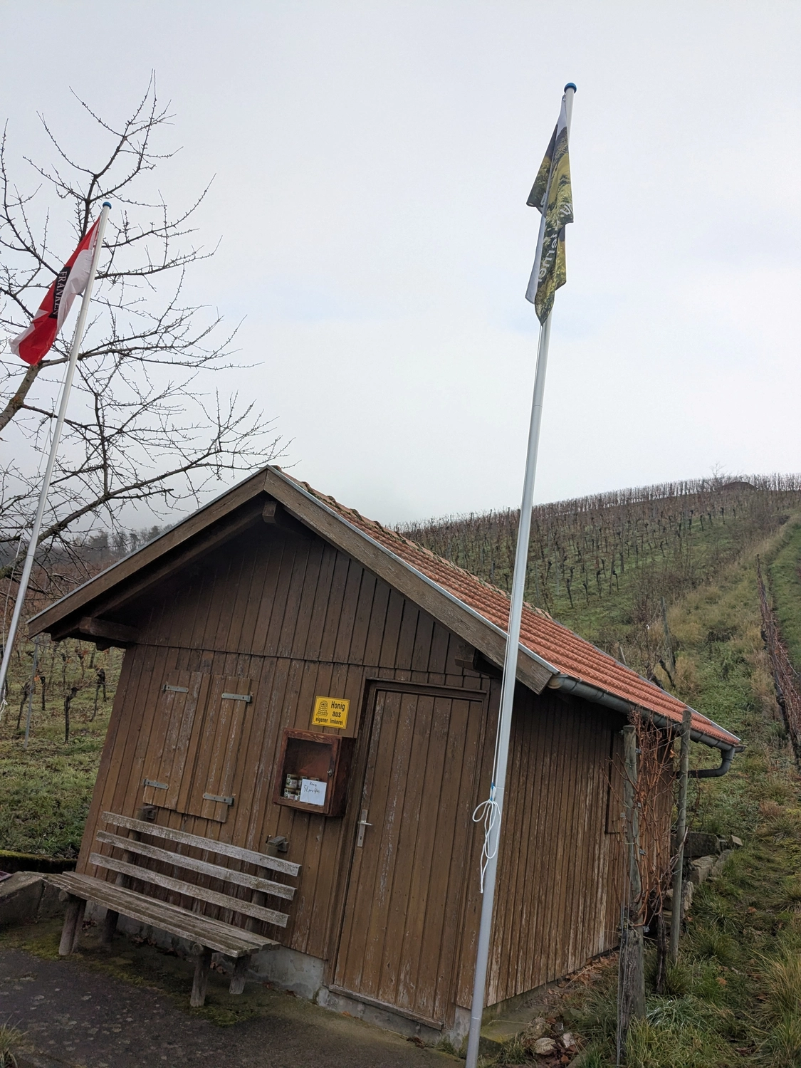 Viticulture - Norbert Werner — Weinbau — Oberscheinfeld — Acolon