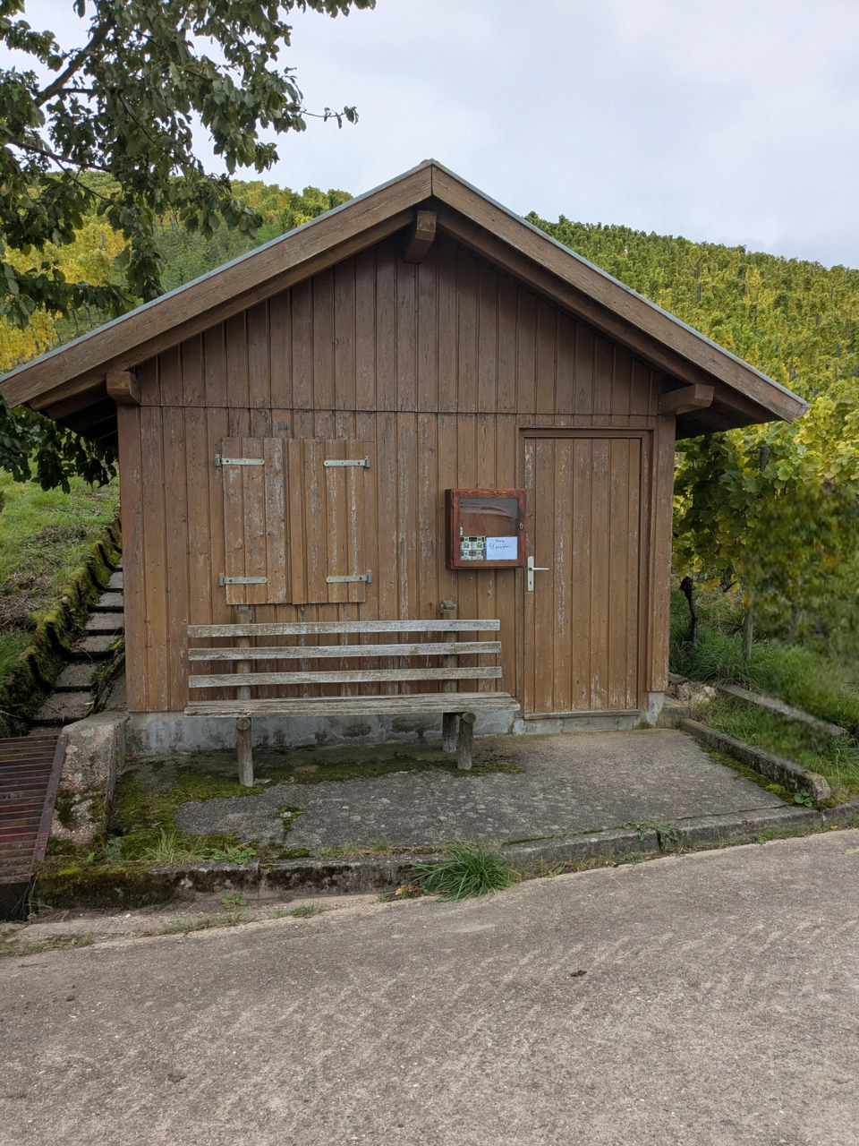 Viticulture - Norbert Werner — Weinbau — Oberscheinfeld — Müller-Thurgau